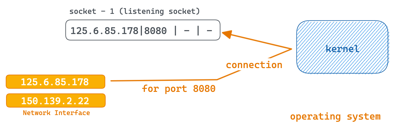 sockets