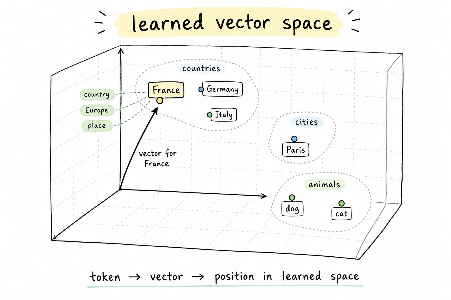 Vector Space